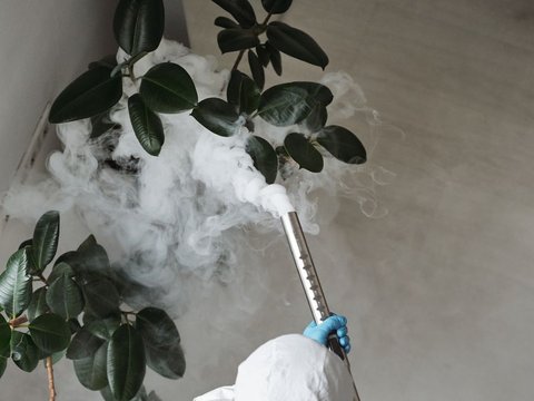 Pest control fogging indoors